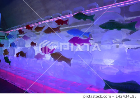 Colorful Ice Fish Sculpture at Night Colorful Ice Fish Sculpture at Night 142434183
