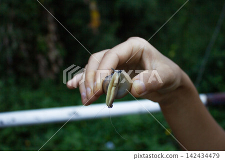 Child holding small snail outdoors 142434479