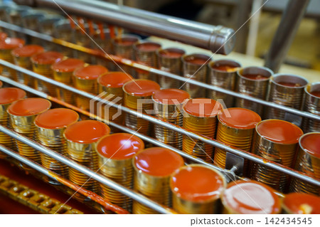 Rows of tin cans filled with tomato sauce on a conveyor belt in a factory 142434545