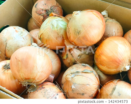 Lots of onions in a cardboard box Lots of onions in a cardboard box 142434573