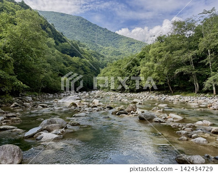 The clear waters of the Takase River surrounded by summer greenery, Omachi City, Nagano Prefecture The clear waters of the Takase River surrounded by summer greenery, Omachi City, Nagano Prefecture 142434729