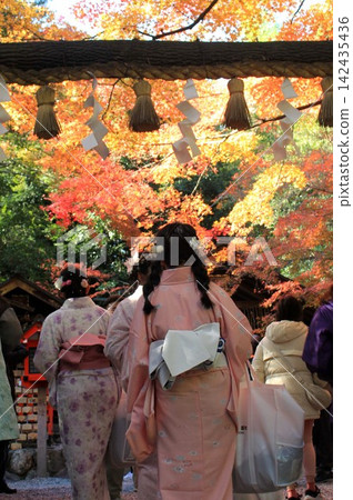Autumn leaves of Nomiya Shrine Autumn leaves of Nomiya Shrine 142435436