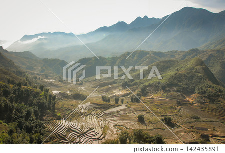 Landscape scenery near Sapa in Northern Vietnam with mountains and rice fields Landscape scenery near Sapa in Northern Vietnam with mountains and rice fields 142435891