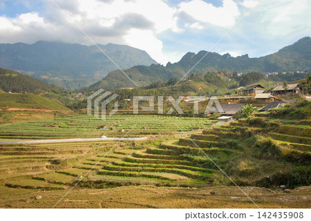 Landscape scenery near Sapa in Northern Vietnam with mountains and rice fields Landscape scenery near Sapa in Northern Vietnam with mountains and rice fields 142435908