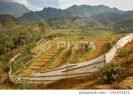 Landscape scenery near Sapa in Northern Vietnam with mountains and rice fields Landscape scenery near Sapa in Northern Vietnam with mountains and rice fields 142435912