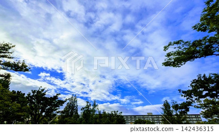 天空和雲彩 天空和雲彩 142436315