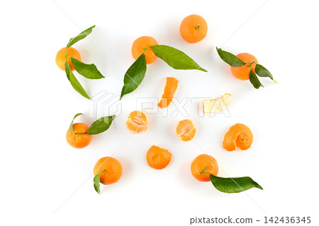 Fresh Ripe Mandarins with Green Leaves and Peeled Citrus Slices Scattered Isolated on White Background Top View Knolling Composition Food Flat Lay with Copy Space for Text Design Layout Fresh Ripe Mandarins with Green Leaves and Peeled Citrus Slices Scattered Isolated on White Background Top View Knolling Composition Food Flat Lay with Copy Space for Text Design Layout 142436345