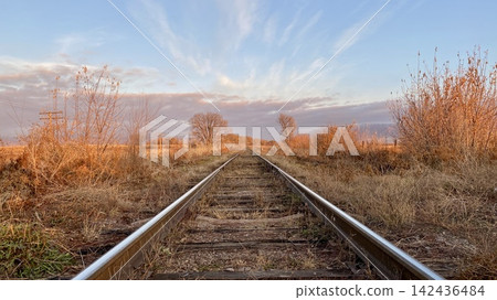 Straight Railroad Track Leading to Horizon at Golden Hour Sunset Straight Railroad Track Leading to Horizon at Golden Hour Sunset 142436484