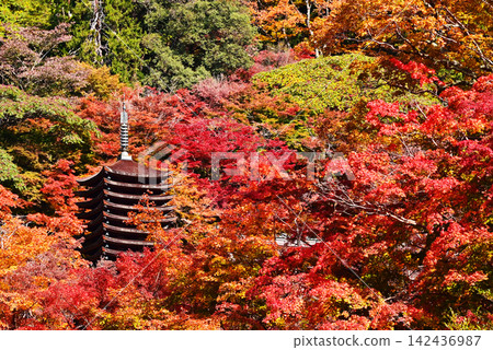 一座十三層樓高的寶塔,周圍環繞著秋葉;丹山神社的秋景;奈良著名的賞楓勝地;奈良的旅遊景點。 一座十三層樓高的寶塔,周圍環繞著秋葉;丹山神社的秋景;奈良著名的賞楓勝地;奈良的旅遊景點。 142436987