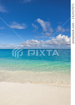 Inviting powdery white shore meeting vivid azure Maldives lagoon overwater villas bright blue sky paradise. Luxury travel honeymoon paradise scenic. Exotic getaway wallpaper backdrop Inviting powdery white shore meeting vivid azure Maldives lagoon overwater villas bright blue sky paradise. Luxury travel honeymoon paradise scenic. Exotic getaway wallpaper backdrop 142437071