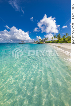 Serene powdery white shore calm vivid azure shallows blue sky soft clouds tropical island paradise coast. Summer travel vacation landscape scenic. Exotic getaway wallpaper backdrop decor Serene powdery white shore calm vivid azure shallows blue sky soft clouds tropical island paradise coast. Summer travel vacation landscape scenic. Exotic getaway wallpaper backdrop decor 142437072
