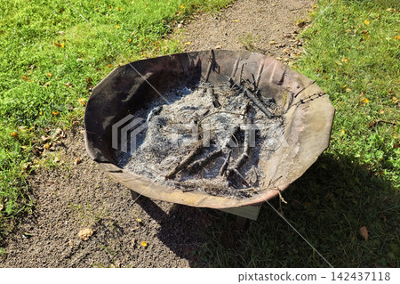 Metal Fire Pit Bowl for Safe Burning of Garden Waste and Branches Metal Fire Pit Bowl for Safe Burning of Garden Waste and Branches 142437118