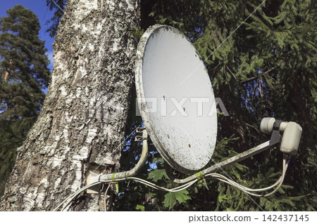 Off-Grid Internet Connection and Remote Work Concept with Satellite Dish on Tree Off-Grid Internet Connection and Remote Work Concept with Satellite Dish on Tree 142437145