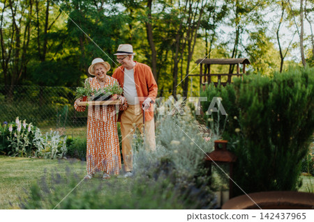 Senior couple working in garden during autumn day. 142437965