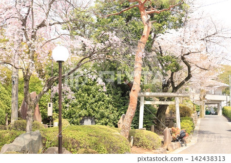 The grounds of the historic Gokoku-ji Temple The grounds of the historic Gokoku-ji Temple 142438313