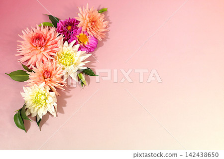 Sunny greeting card featuring beautiful dahlias, an abstract floral arrangement, autumn still life with seasonal flowers, background and banner for the screen. A minimalist holiday concept. 142438650