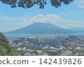 Sakurajima seen from Shiroyama park 142439826