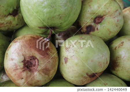 Close up view of freshly harvested green guavas with natural brown skin blemishes piled together. Close up view of freshly harvested green guavas with natural brown skin blemishes piled together. 142440049