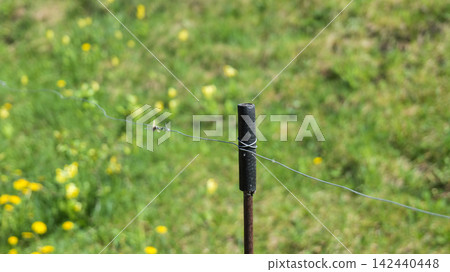Electric Fence Wire for Livestock Control in Rural Field 142440448
