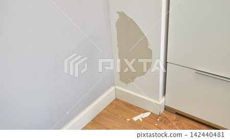 Large Flaking Piece of Whitewash from a Wall Large Flaking Piece of Whitewash from a Wall 142440481