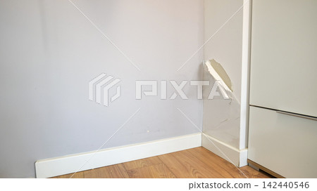 Large Flaking Piece of Whitewash from a Wall 142440546