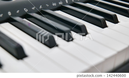 Close Up of Electronic Keyboard Keys 142440600