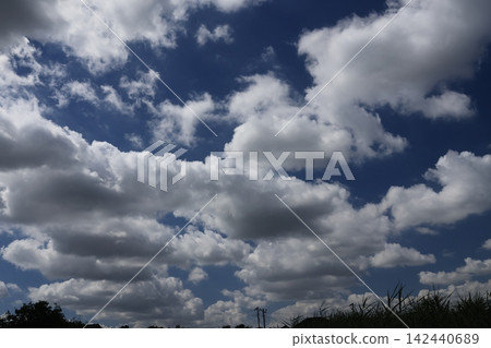 Summer sky white clouds Summer sky white clouds 142440689