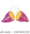 A cute watercolor-style illustration of a steaming sweet potato. 142441319