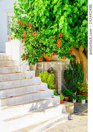 Traditional Cretan courtyard with white stairs and flowers Crete Greece Traditional Cretan courtyard with white stairs and flowers Crete Greece 142441496