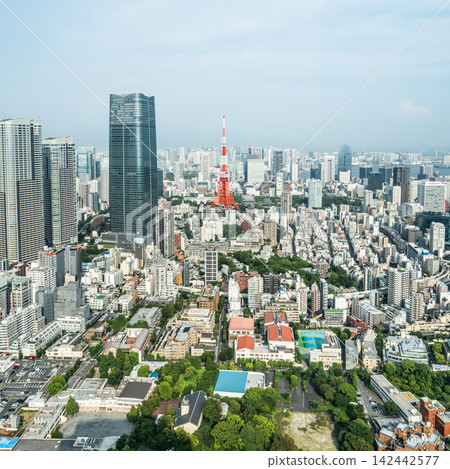 Panoramic aerial view of tokyo tower and cityscape skyline under clear blue sky in Roppongi hills, japan with copy space Panoramic aerial view of tokyo tower and cityscape skyline under clear blue sky in Roppongi hills, japan with copy space 142442577
