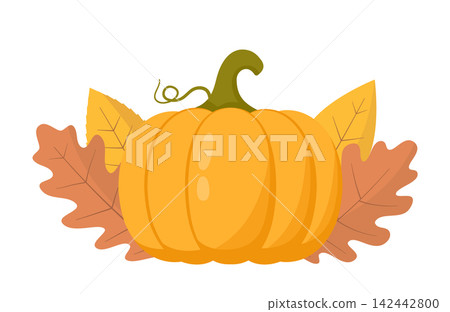 Harvest Pumpkin with Autumn Leaves Harvest Pumpkin with Autumn Leaves 142442800