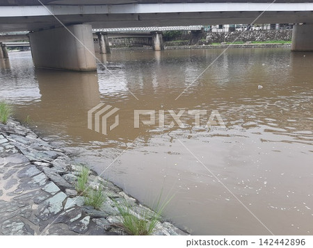 崛起的河流 崛起的河流 142442896