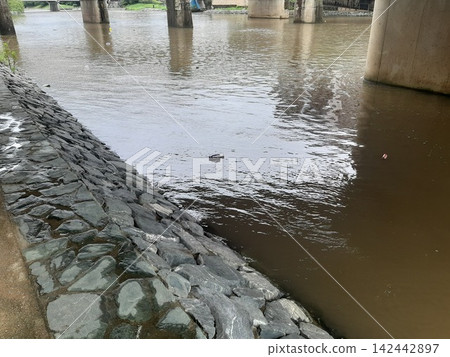 Flooded river, river debris Flooded river, river debris 142442897
