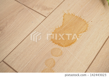 Water stain on wooden floor near a plant Water stain on wooden floor near a plant 142443023