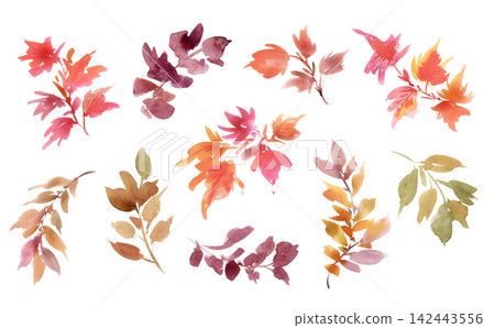 A set of hand-painted watercolor illustrations of autumn leaves and foliage. A set of hand-painted watercolor illustrations of autumn leaves and foliage. 142443556
