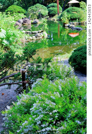 北海道之旅:六月的真鍋庭園;春天的真鍋庭園 北海道之旅:六月的真鍋庭園;春天的真鍋庭園 142443653