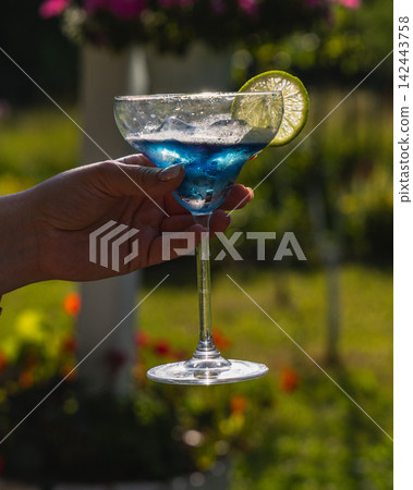 Enjoy a refreshing blue cocktail in the garden during summer celebration Enjoy a refreshing blue cocktail in the garden during summer celebration 142443758
