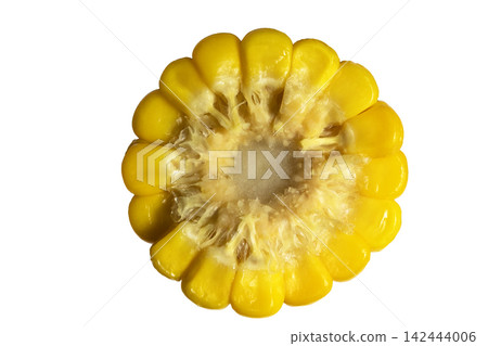 Close up corn cob kernel structure fibrous core agricultural texture Close up corn cob kernel structure fibrous core agricultural texture 142444006