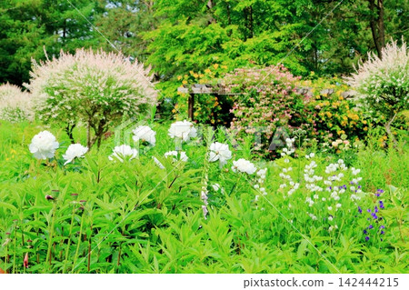 A Journey Through Hokkaido: The Garden of June Winds; The Garden of Spring Winds A Journey Through Hokkaido: The Garden of June Winds; The Garden of Spring Winds 142444215