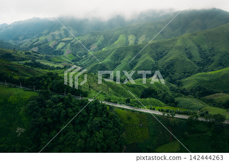 Aerial view of a winding asphalt road cutting through lush green mountains and tropical rainforest. 142444263
