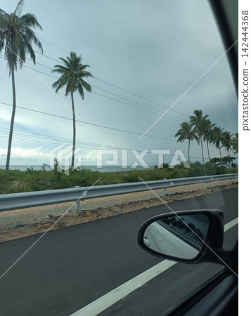 從車窗看到的泰國海岸景色。 從車窗看到的泰國海岸景色。 142444368