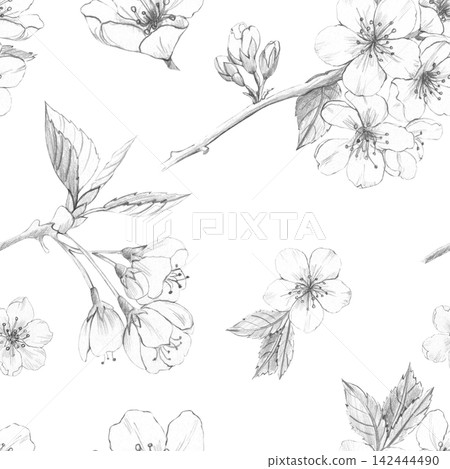 Seamless cherry blossom pattern on white background. Hand-drawn pencil sketches for textile design, packaging, stationery, and organic cosmetics branding. Versatile botanical repeat illustration Seamless cherry blossom pattern on white background. Hand-drawn pencil sketches for textile design, packaging, stationery, and organic cosmetics branding. Versatile botanical repeat illustration 142444490