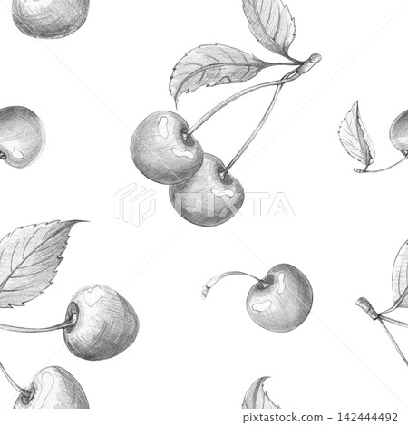 Seamless cherry pattern. Hand-drawn pencil sketch for textile design, organic food packaging, jam labels, and bakery. Realistic illustrations berry to summer-themed designs, natural product on white Seamless cherry pattern. Hand-drawn pencil sketch for textile design, organic food packaging, jam labels, and bakery. Realistic illustrations berry to summer-themed designs, natural product on white 142444492