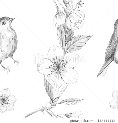 Seamless pattern of hand-drawn pencil sketch with small birds and Sakura cherry blossom branches on white background for elegant vintage nature textile and wallpaper design Seamless pattern of hand-drawn pencil sketch with small birds and Sakura cherry blossom branches on white background for elegant vintage nature textile and wallpaper design 142444538