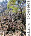 Ladder leading to Iwakoya Mountain 142444603