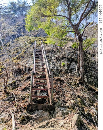 Ladder leading to Iwakoya Mountain Ladder leading to Iwakoya Mountain 142444603