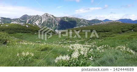 從雙六岳蜿蜒的山路上看到的景色。 142444689