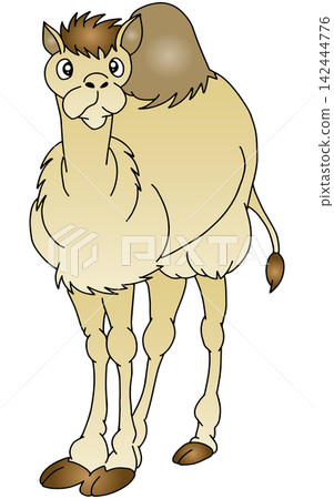 Hand-drawn animal illustration ☆ Camel Hand-drawn animal illustration ☆ Camel 142444776