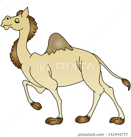 手繪動物插畫☆駱駝 手繪動物插畫☆駱駝 142444777