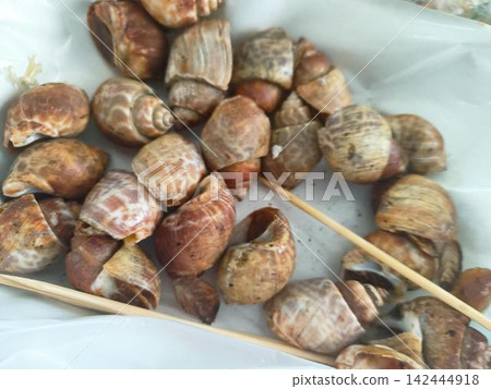 泰國烤貝類 泰國烤貝類 142444918